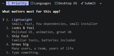 Claude Code asks what matters most for the app: lightweight, looks and feel, ship fast, or grows big.